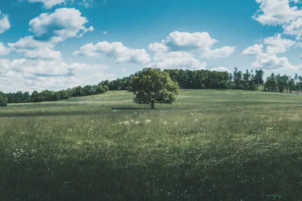 Využití trvalých travních porostů 