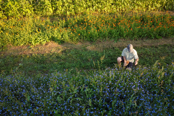 Farmář David Ježek: Tak trochu jiný zemědělec